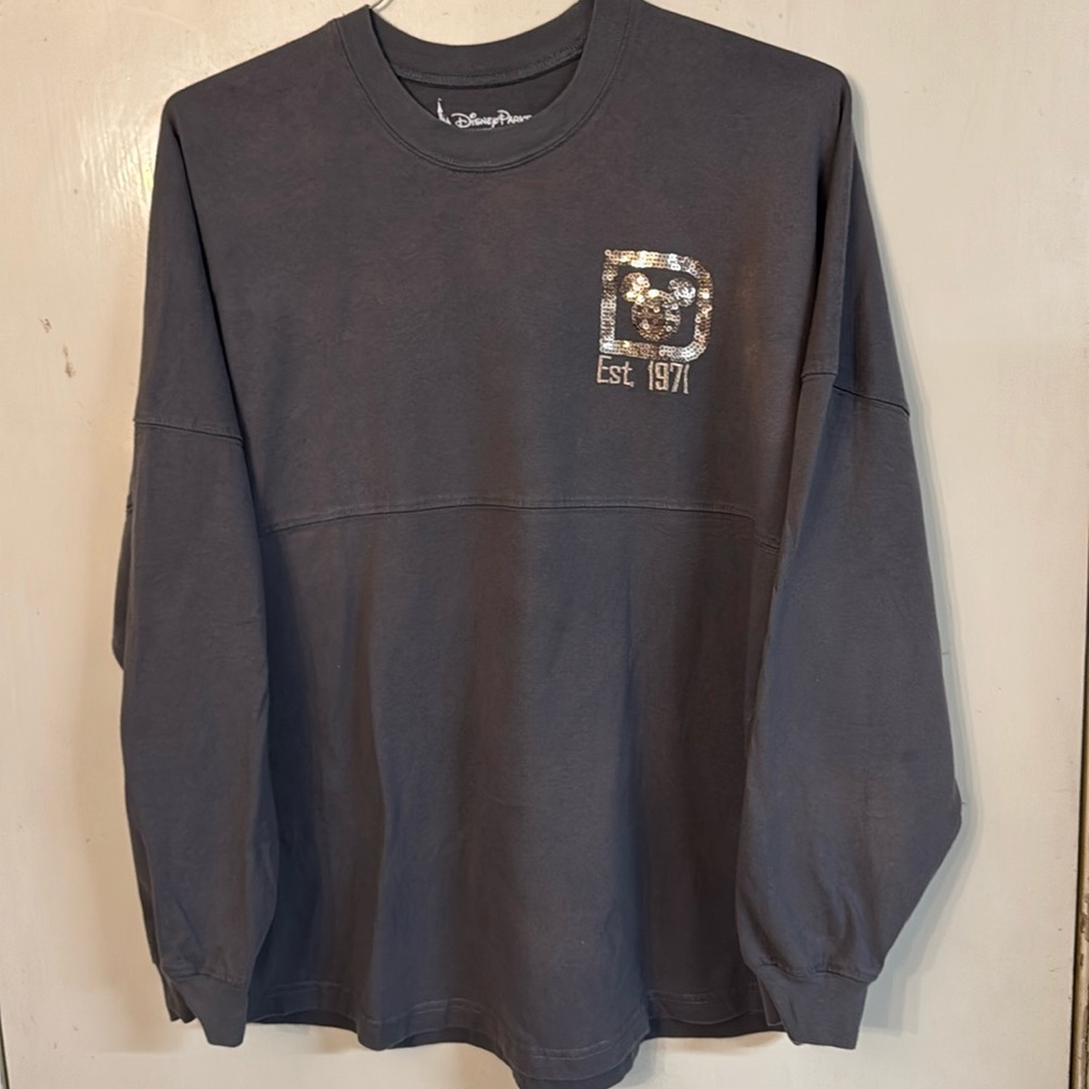 Disney park’s collection spirit jersey